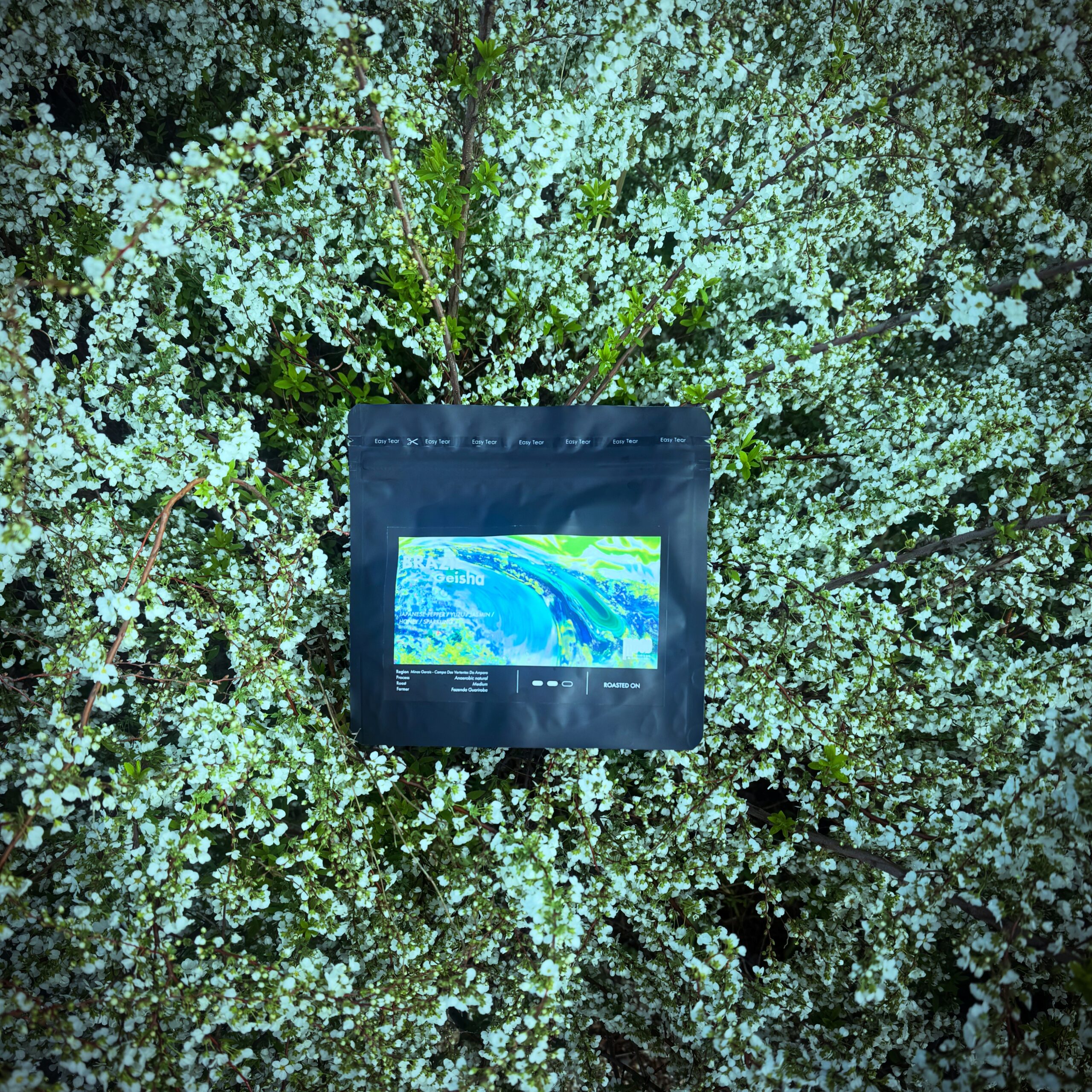 BRAZIL Geisha Anaerobic Natural