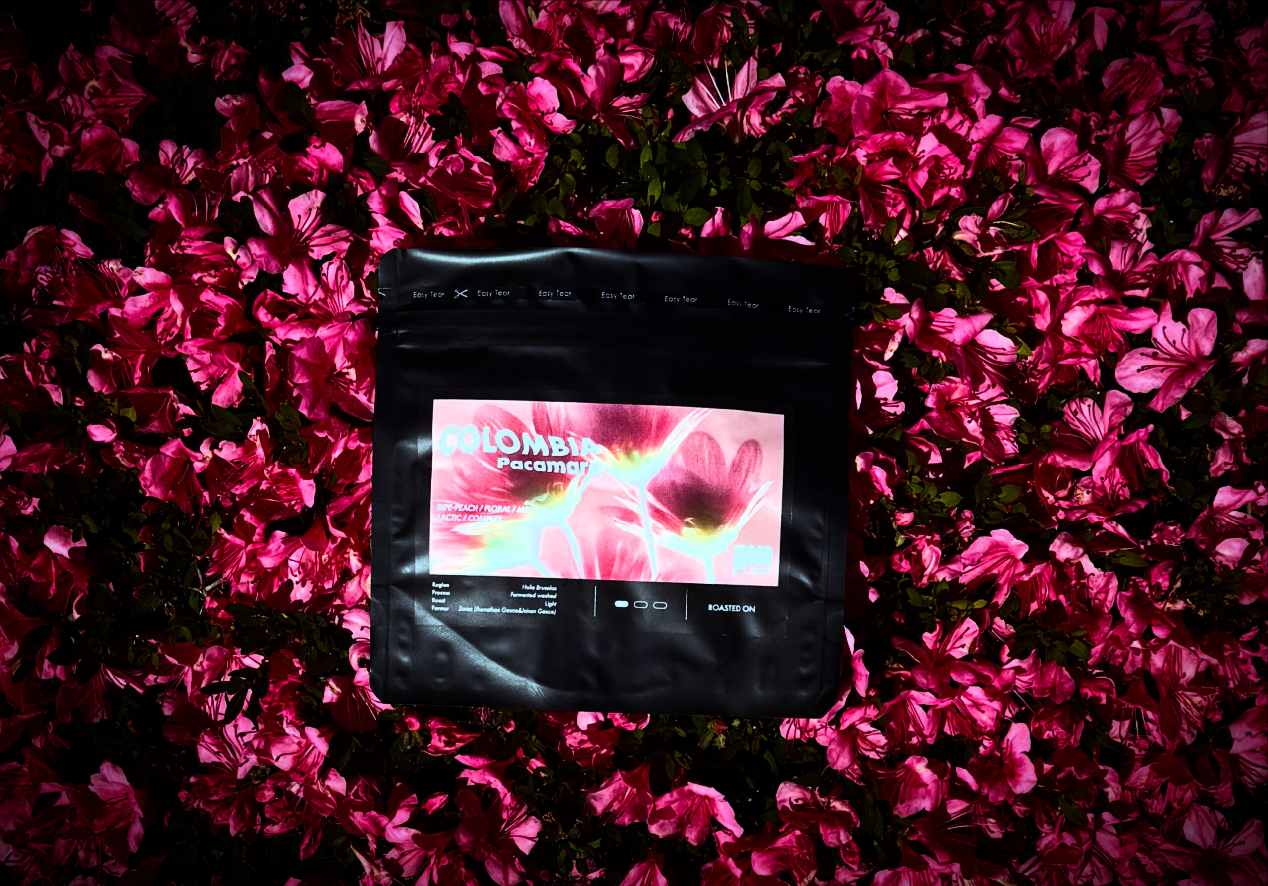 COLOMBIA Pacamara Fermented Washed