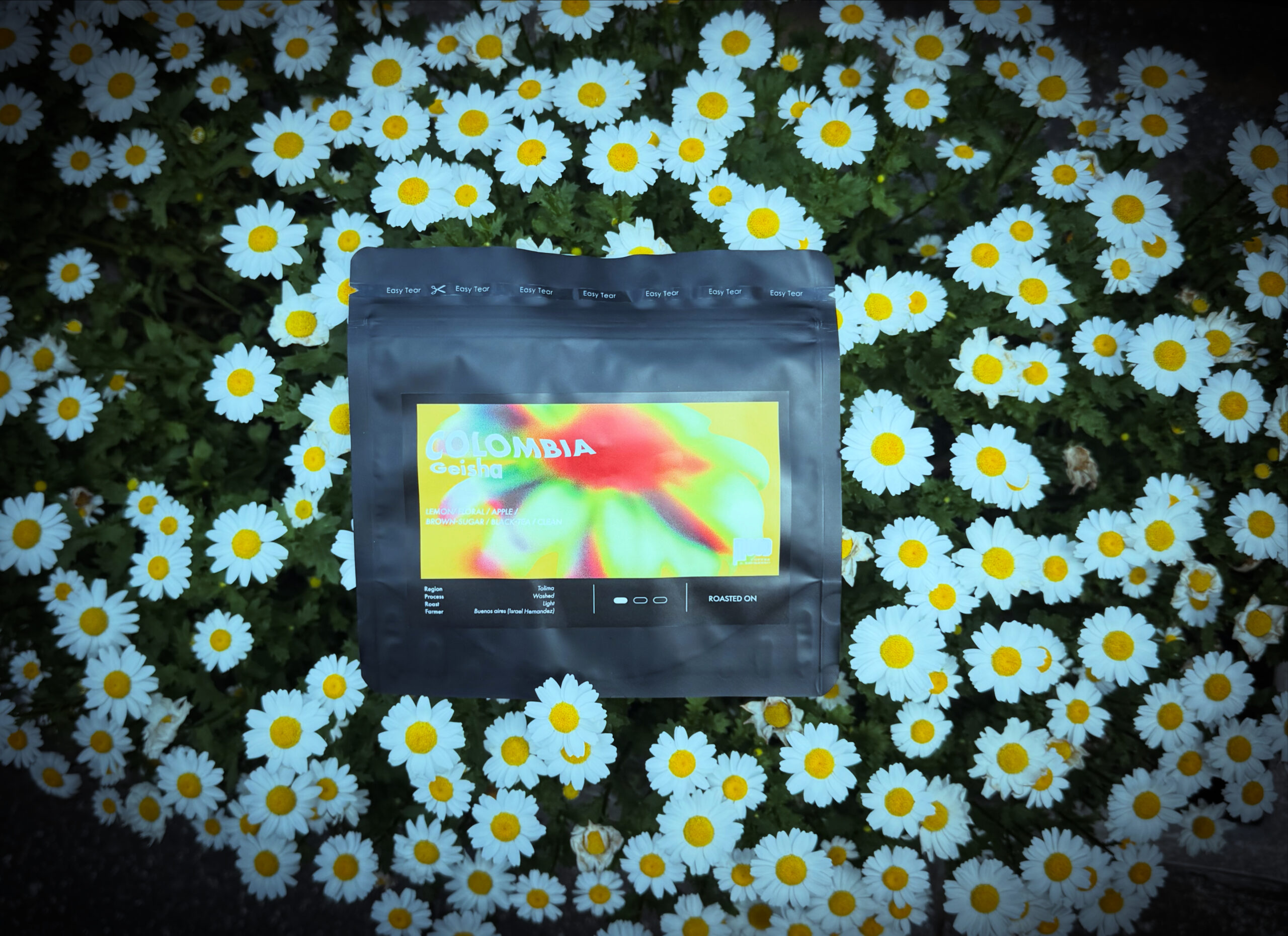 COLOMBIA Geisha Washed